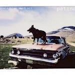 Appalachian Yard Art - Patina (cassette)