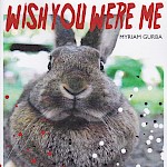 Myriam Gurba - Wish You Were Me