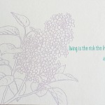 Hope Amico - The Risk The Living Take Postcard