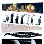 Esoteric Bumper Stickers - Esoteric Bumper Stickers 5-Pack Grab Bag