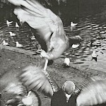 Michael T. Fournier, Simon Moreton - Policymaker Annual #1 & Little Leagues #3