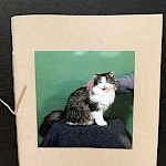 Aishwarya Arumbakkam - Handbook