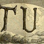 Esoteric Bumper Stickers - Nature Bumper Sticker