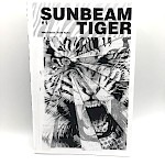 Mike Faloon, Todd Taylor - Sunbeam Tiger #1