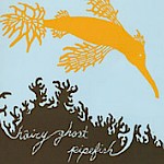 Corespondents - Hairy Ghost Pipefish (CD)