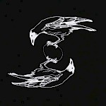 Corina Dross - Crow Mirror Patch