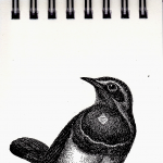 Eberhardt Press - Bluethroat Notepad