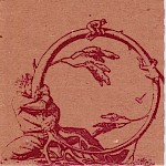 Nik Nerburn - In The Shadow of Paul Bunyan DVD